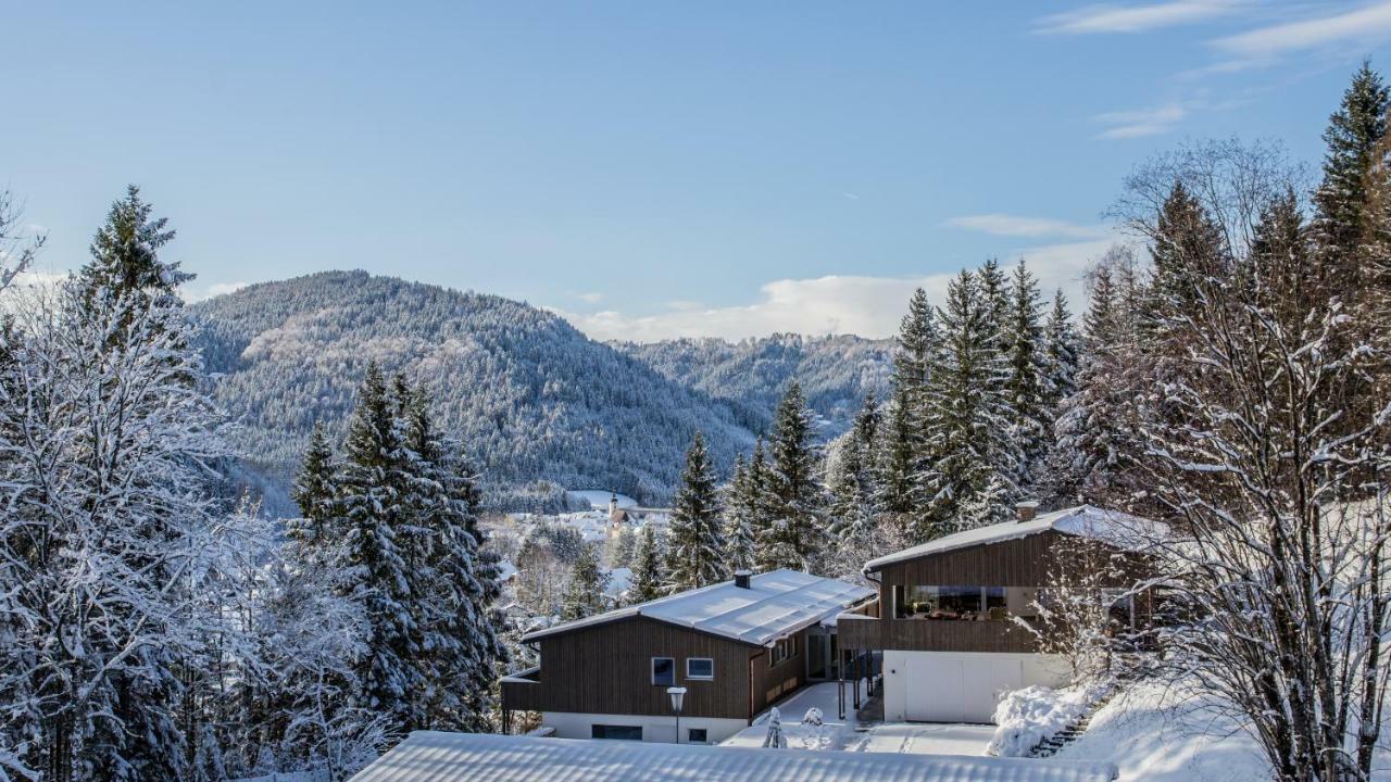 Bienenkunde Lunz Appartement Lunz am See Buitenkant foto